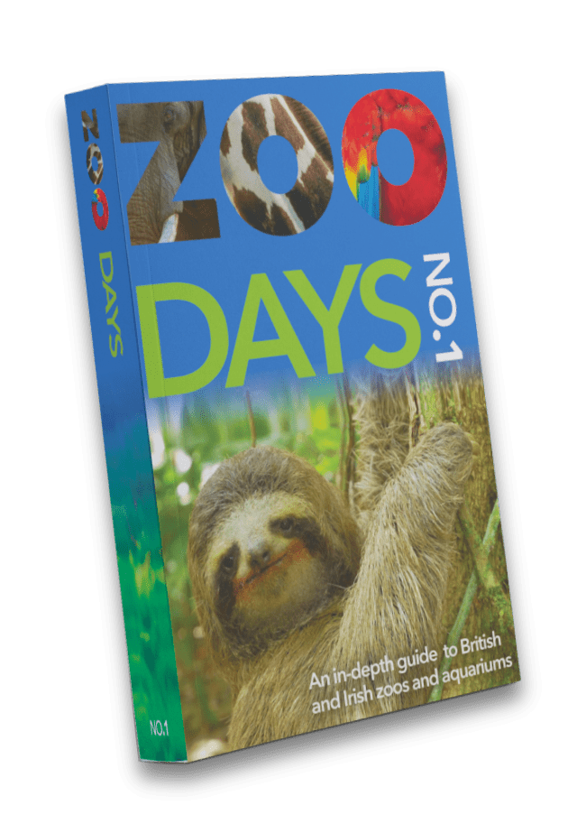 Zoo Days